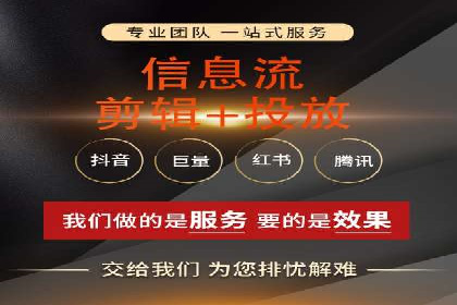 深入剖析SEM公司成功案例：数据驱动的广告策略